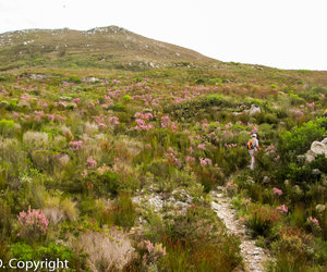 Strandveld Hiking Club Notice